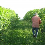Elio Altare in his vineyard