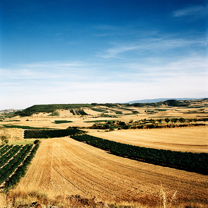 Rioja. Photograph: Jason Lowe