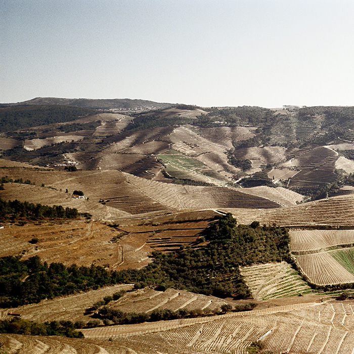 The Douro Valley. Photograph: Jason Lowe